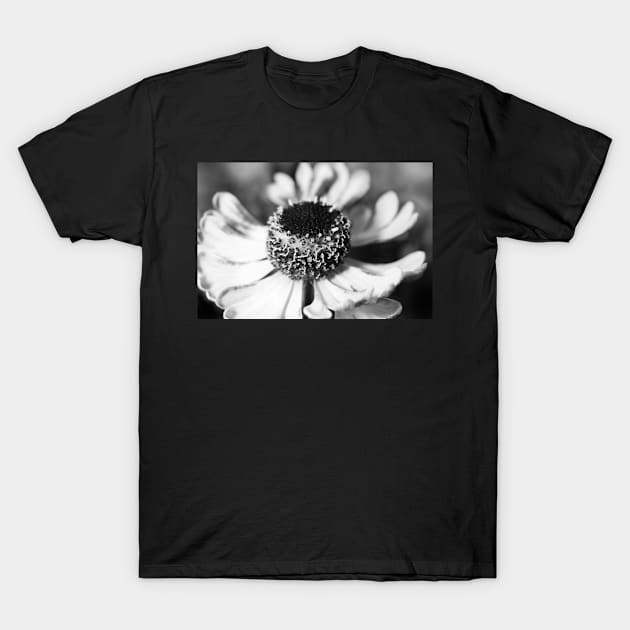 Sneeze Weed Twirl T-Shirt by SharonJ